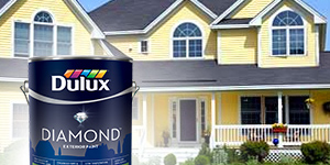 Exterior Paint