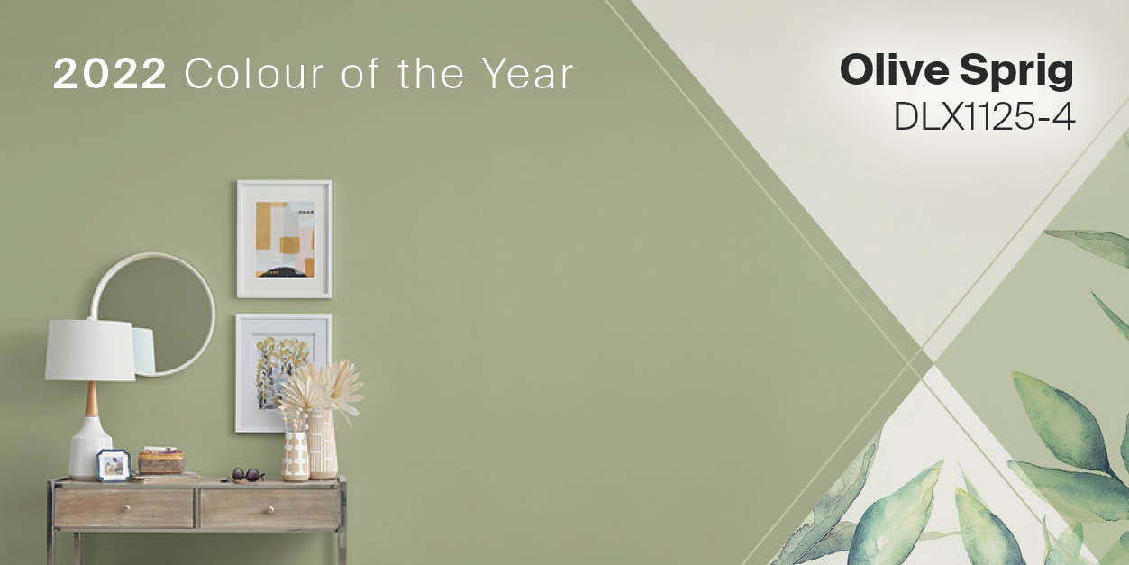 2022 Dulux Paint Colour of The Year: Olive Sprig